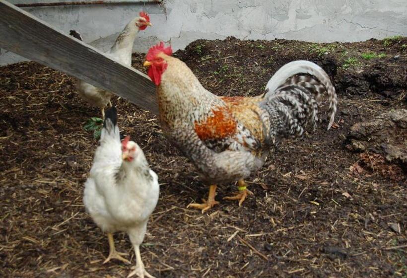 فندق Puttererseehof