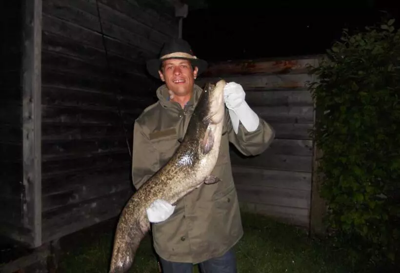 酒店 Puttererseehof