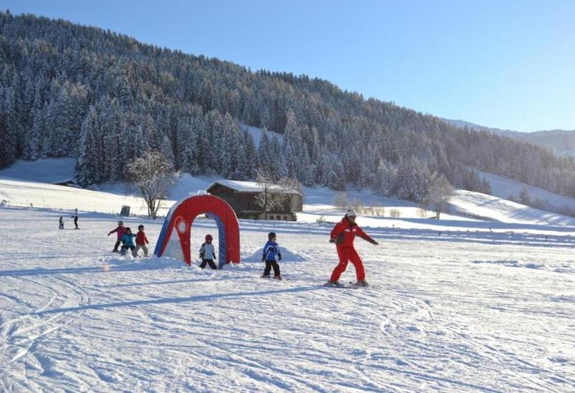 Отель Schwannerwirt