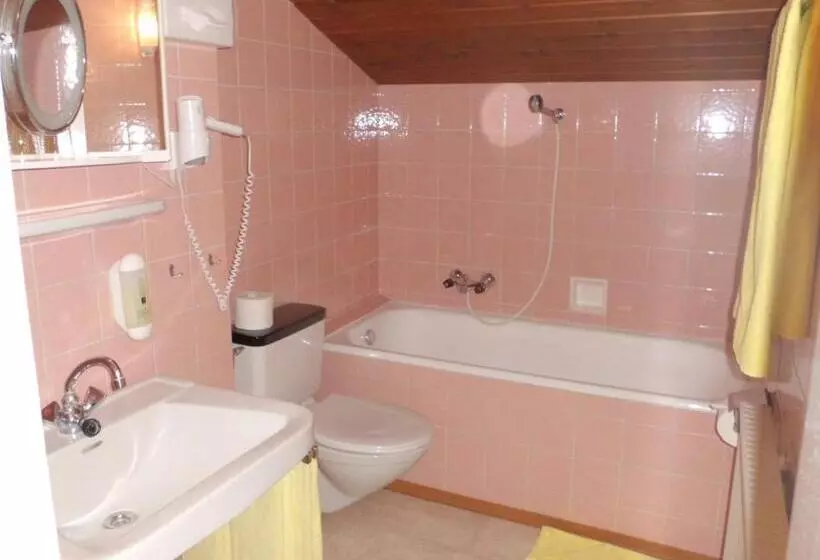 펜션 Alpina Appartements