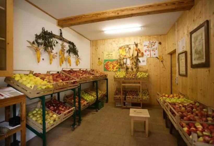 膳宿费 Gästehaus Kleindienst