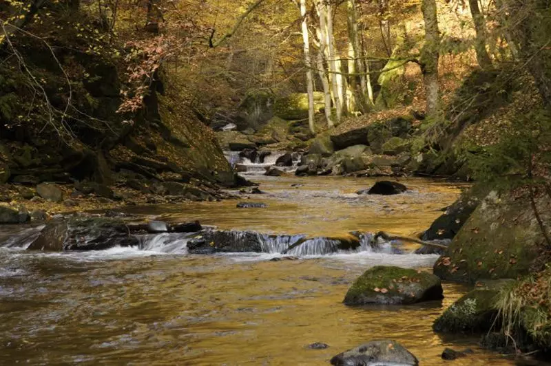 膳宿费 Gästehaus Kleindienst