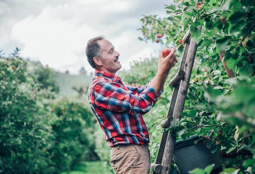 פנסיון Gästehaus Kleindienst