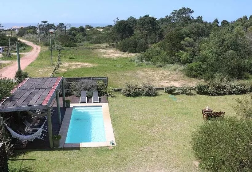 Los Pecados De La Viuda