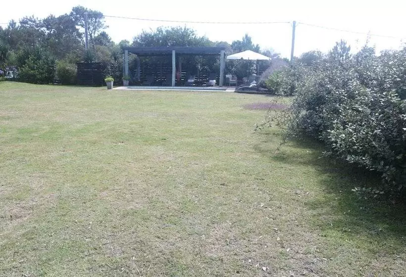 Los Pecados De La Viuda