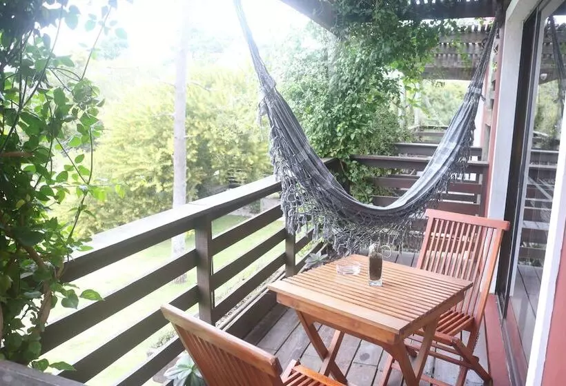 Los Pecados De La Viuda