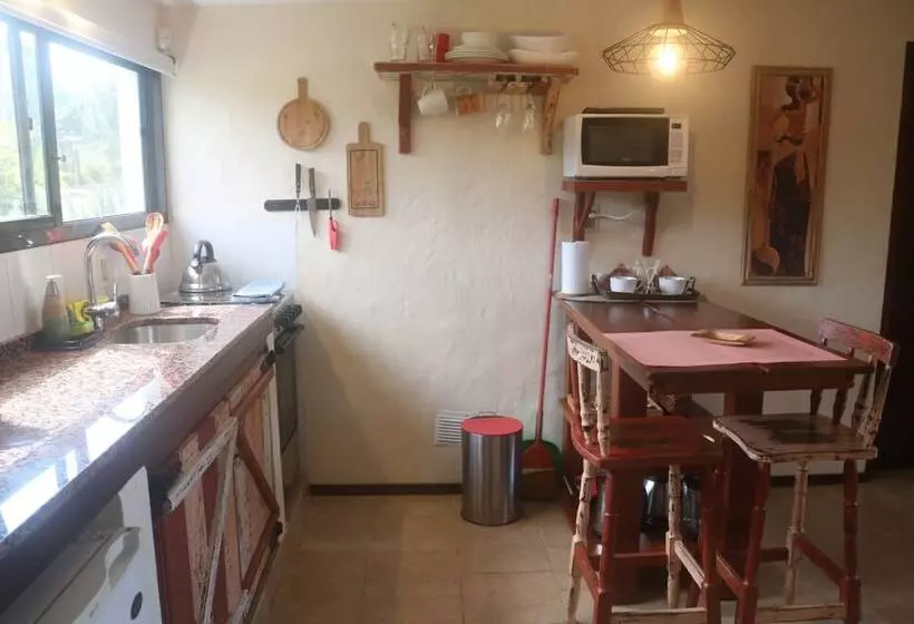 Los Pecados De La Viuda