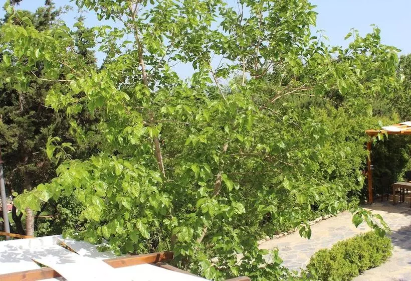 Malbec Otel