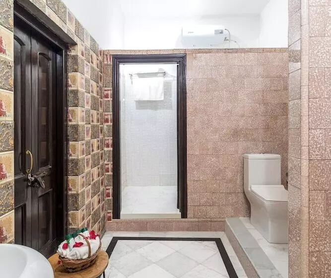 Hotelli Welcomheritage Badi Kothi