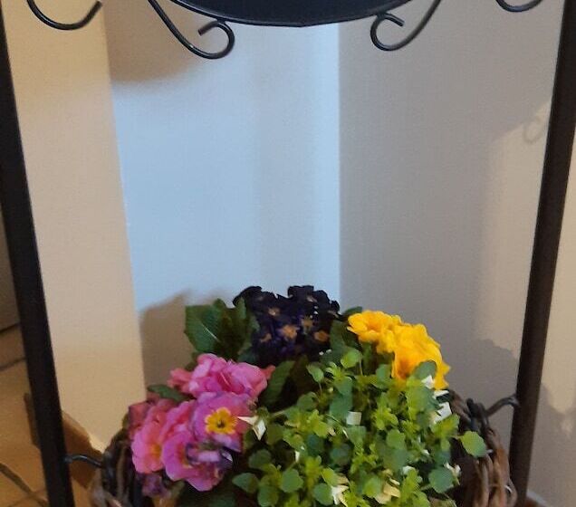 膳宿费 Le Relais Du Cheval Blanc