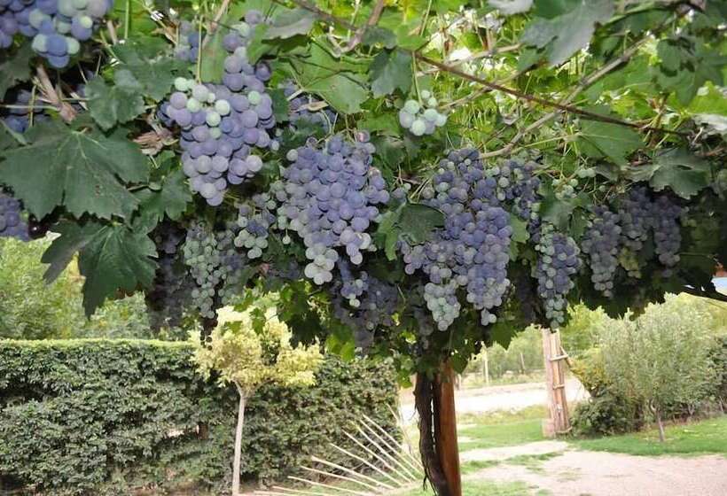 Hotel La Casa De Feli