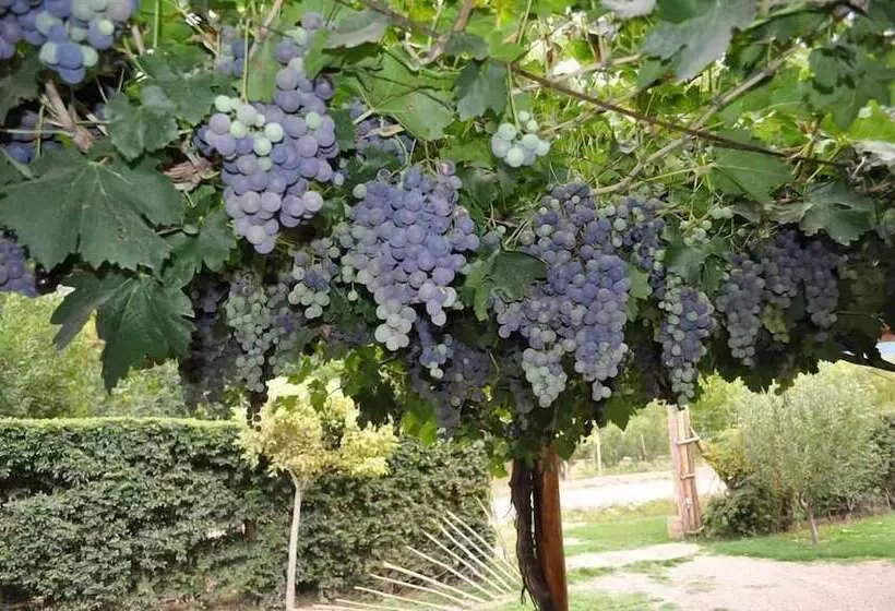 ホテル La Casa De Feli