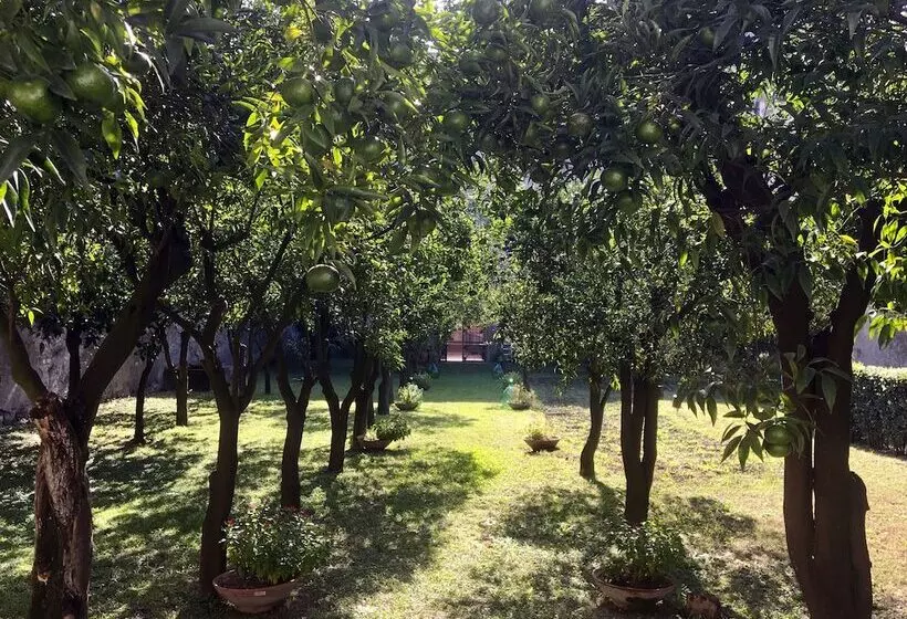 Majatalo Palazzo Benucci   Residenza Di Charme