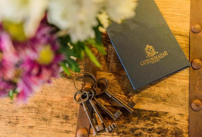 Hotel Cotommatae Hydra 1810