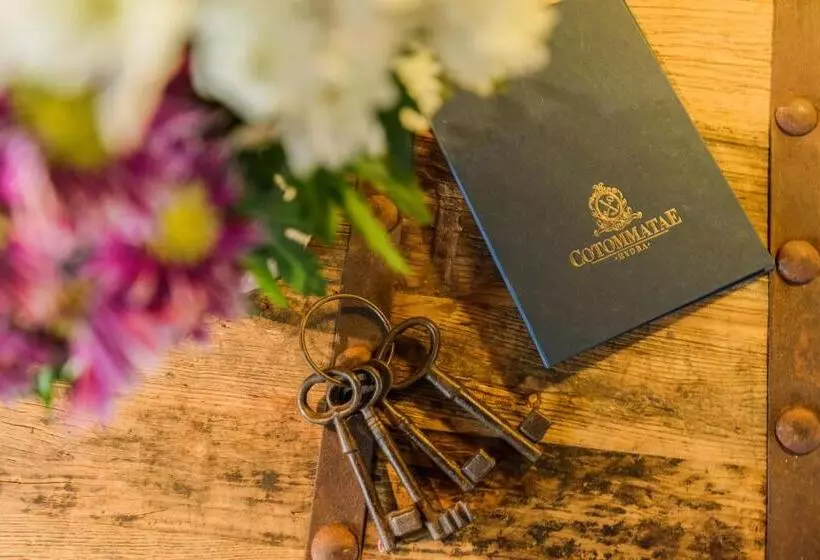 Hotelli Cotommatae Hydra 1810