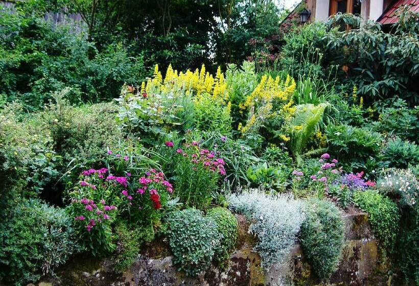 Пансион Ferienhaus Dierauf