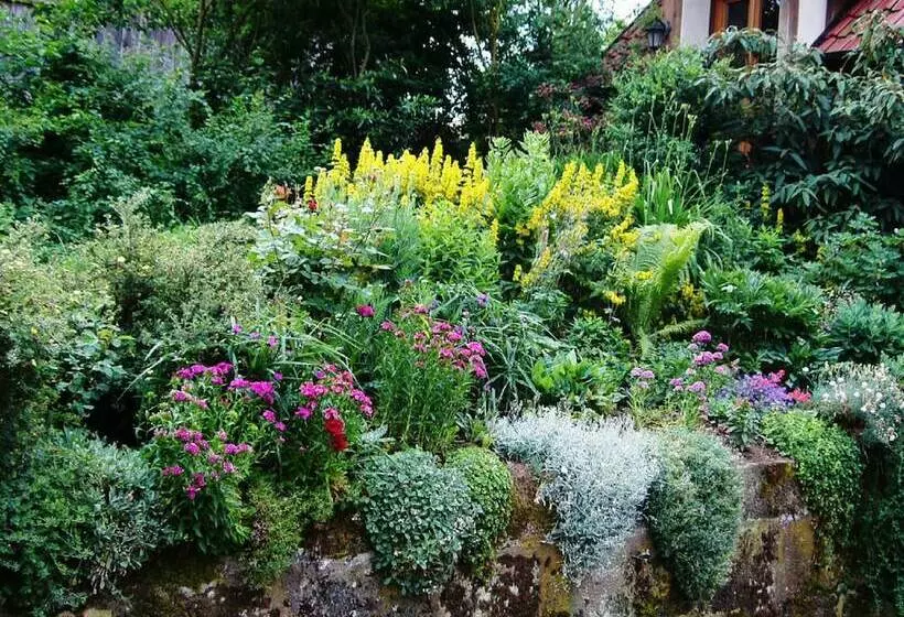 Majatalo Ferienhaus Dierauf