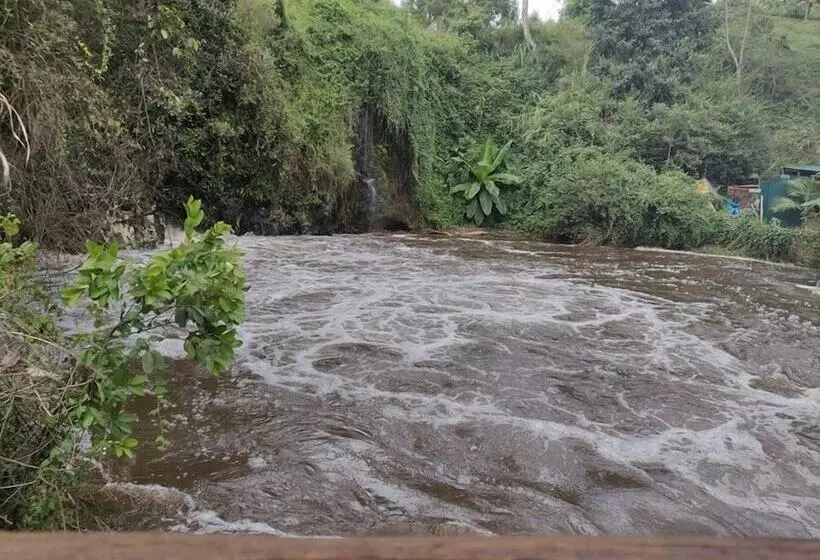 پانسیون Theanabas Trout & Seafood Grill