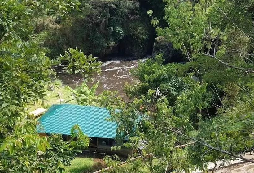 پانسیون Theanabas Trout & Seafood Grill