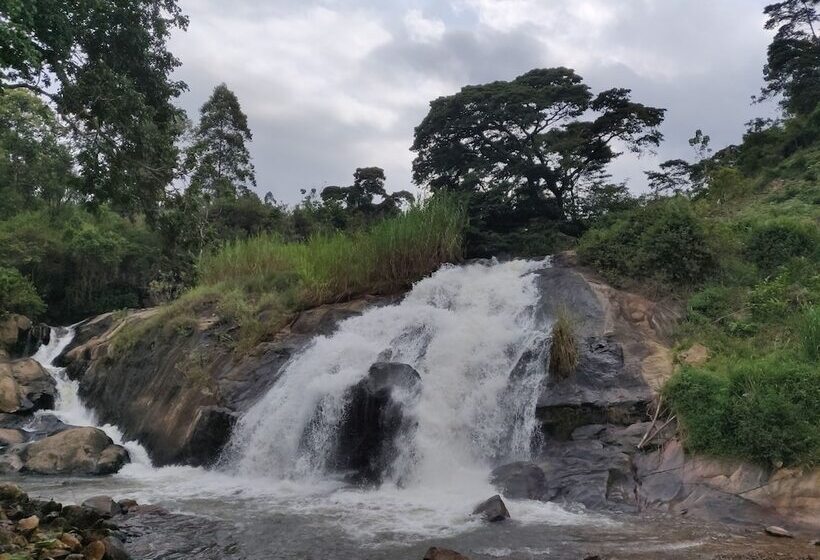 پانسیون Theanabas Trout & Seafood Grill