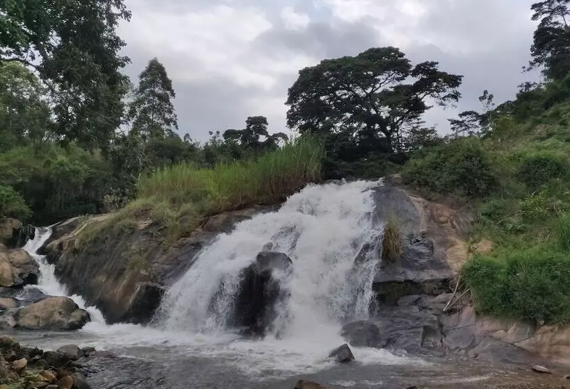 پانسیون Theanabas Trout & Seafood Grill