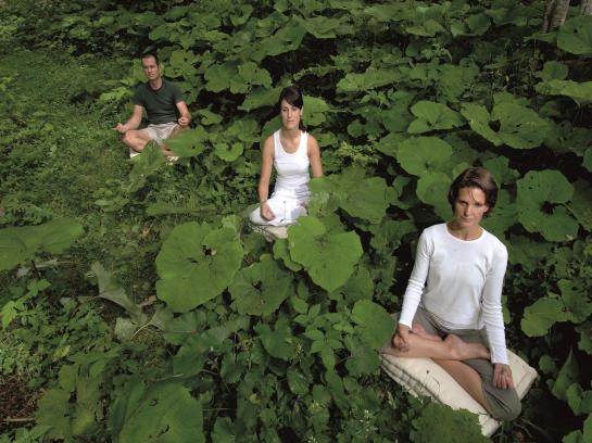 호텔 Almwellness Resort Tuffbad