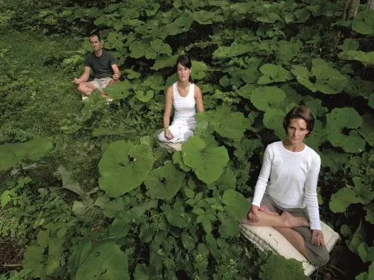 Отель Almwellness Resort Tuffbad