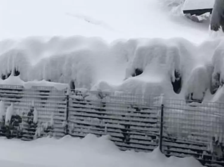 ベッドアンドブレックファースト Haus Hubertus Wintersaison Und Sommersaison