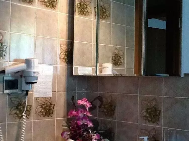 ベッドアンドブレックファースト Haus Hubertus Wintersaison Und Sommersaison