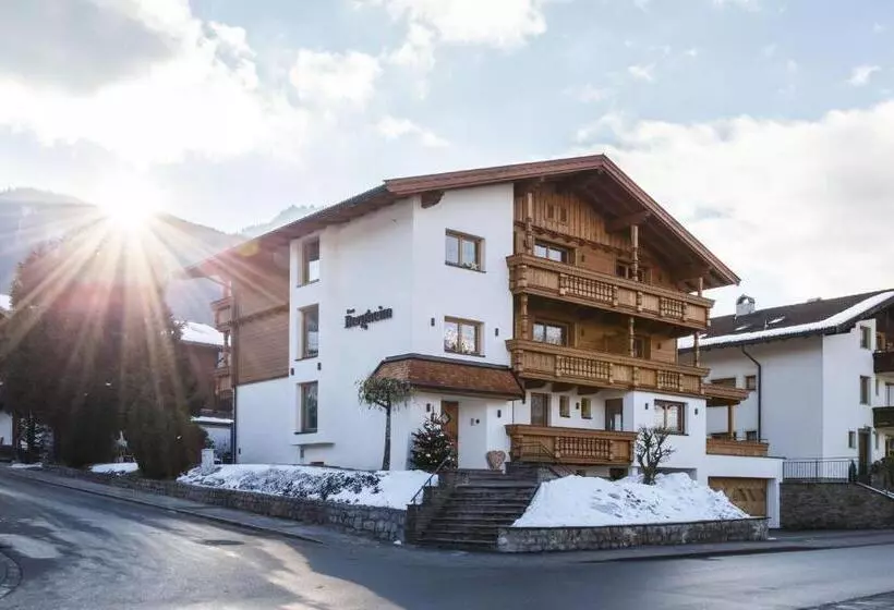 Bed and Breakfast Pension Bergheim