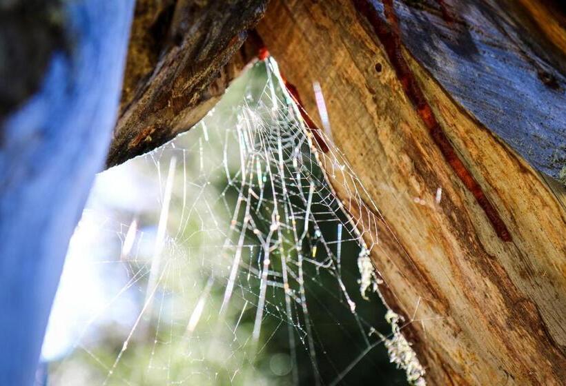 민박 Pension Fuchs