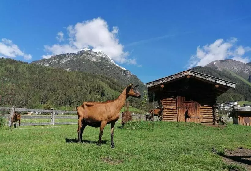 住宿加早餐 Schottenhof