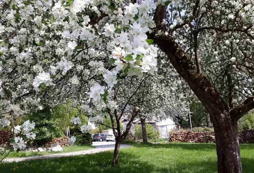 Ferienwohnungen Veit
