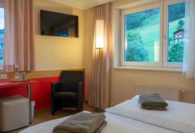 酒店 Auwirt Zentrum