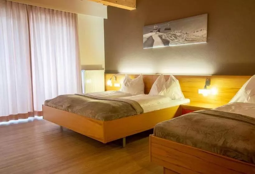 酒店 Auwirt Zentrum