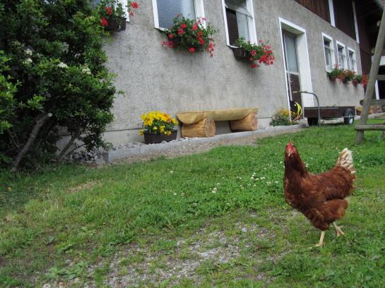 Bauernhof Haus Hofer