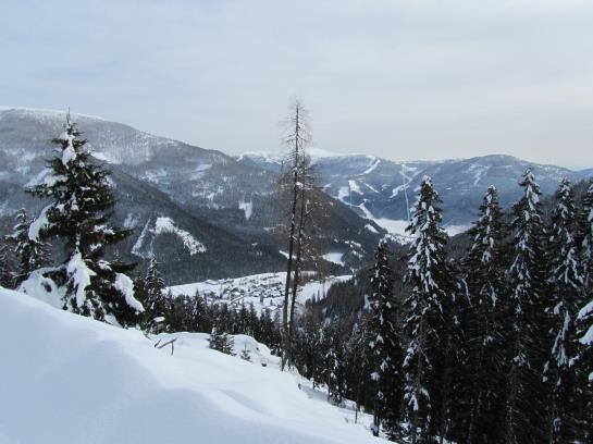 Bauernhof Haus Hofer