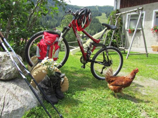 Bauernhof Haus Hofer