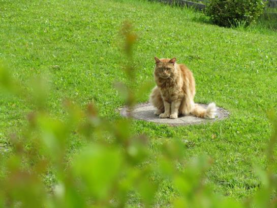 Bauernhof Haus Hofer