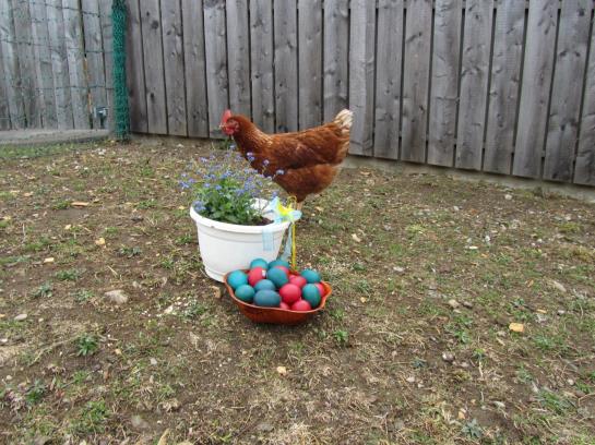 Bauernhof Haus Hofer