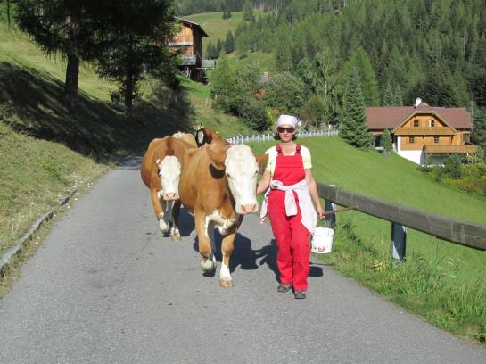 Bauernhof Haus Hofer