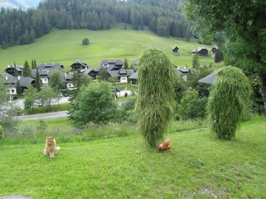 Bauernhof Haus Hofer