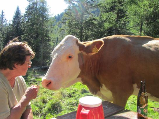 Bauernhof Haus Hofer