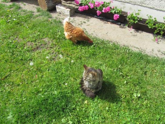 Bauernhof Haus Hofer