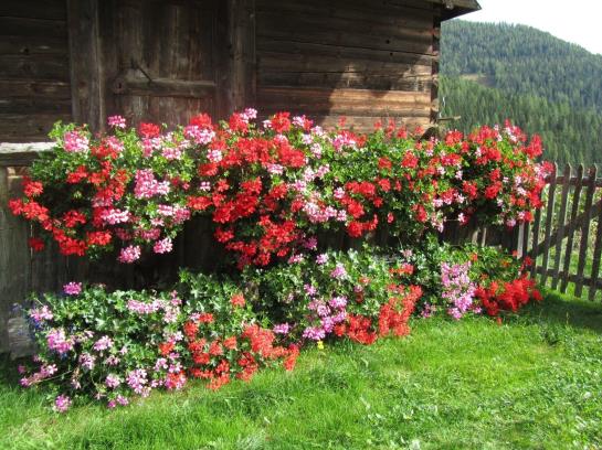 Bauernhof Haus Hofer
