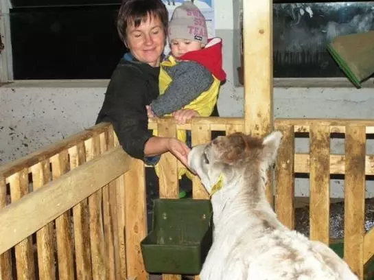 Bauernhof Stotznerhof