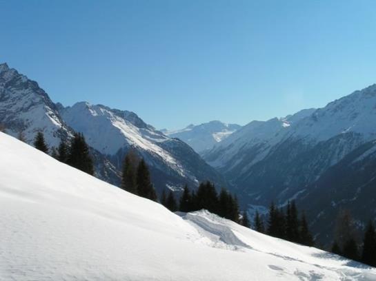 Bauernhof Stotznerhof