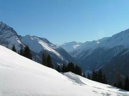 Bauernhof Stotznerhof