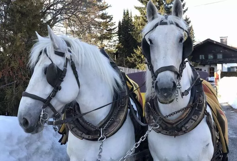 هتل Haus Alpengruss