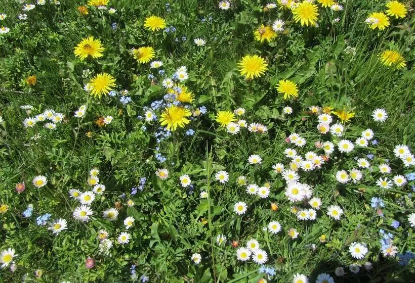 هتل Haus Alpengruss